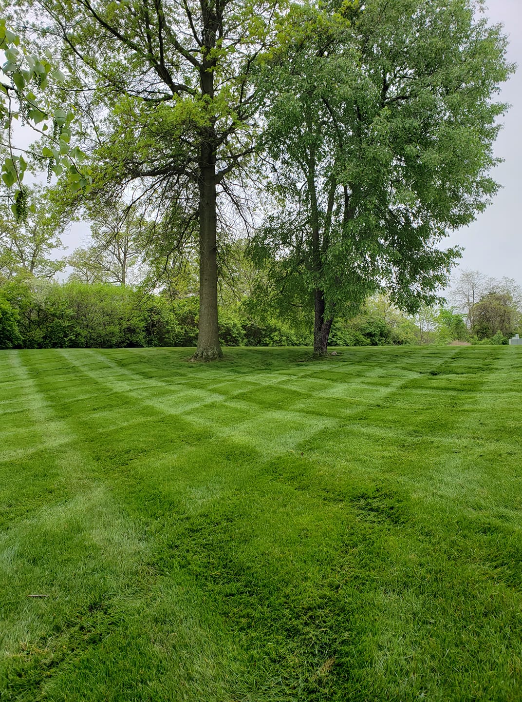 Lawn Fertilization